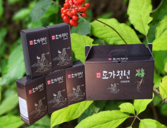 도가천년 26